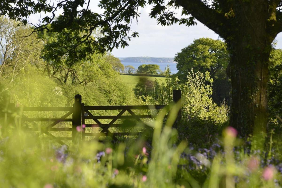 Dandelion Cottage, Amroth Luaran gambar